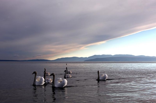 Небо над Риекой