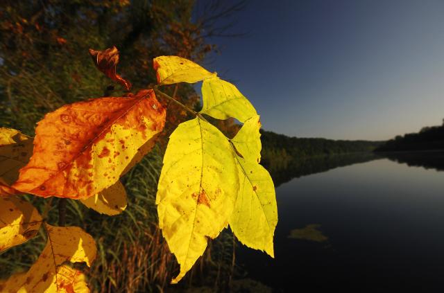 Ранняя осень в окрестностях Бачки-Моноштора