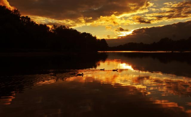 Закат на Дунае у Нови-Сада в осенний день