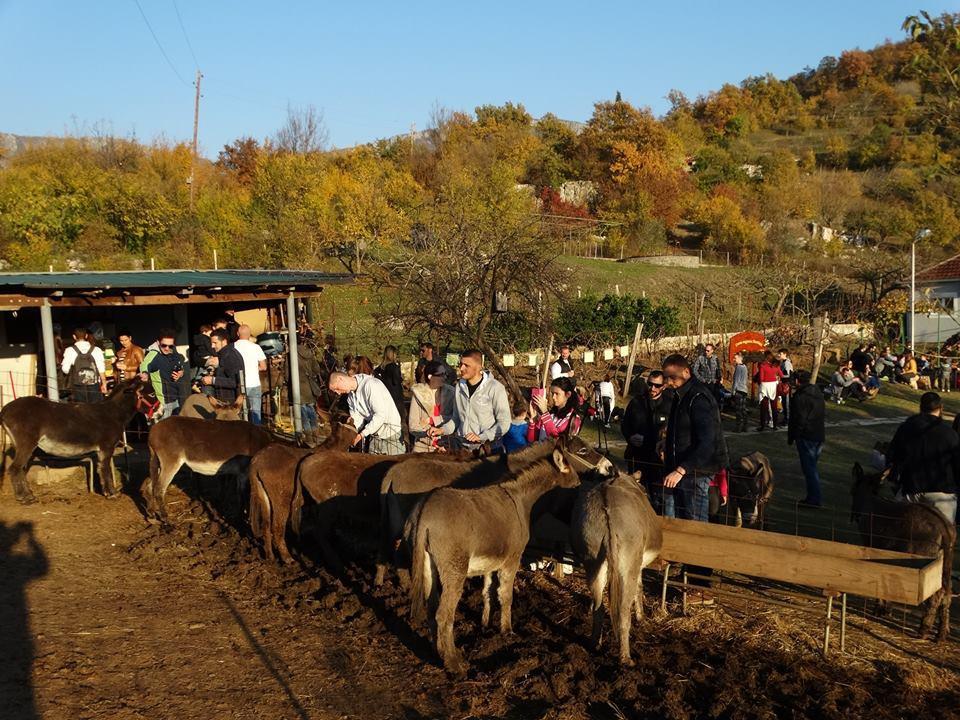 Новогодний праздник на ослиной ферме в Черногории