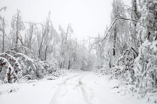 Снегопад на востоке Сербии