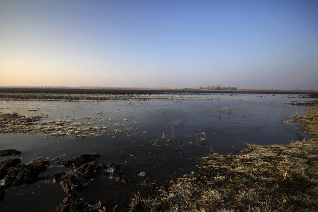Поля в окрестностях Сомбора