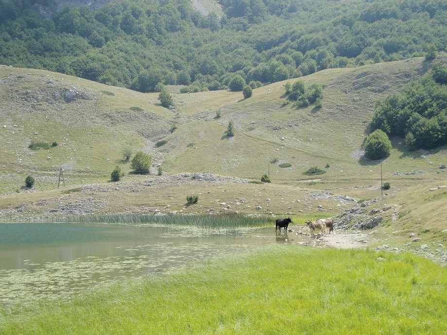 Букумирское озеро в июне 2016 г.