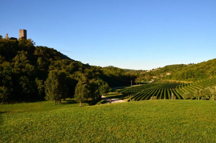 В Хорватии назвали лучшие игристые вина