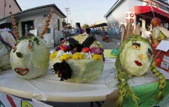 Праздник капусты в сербском Футоге