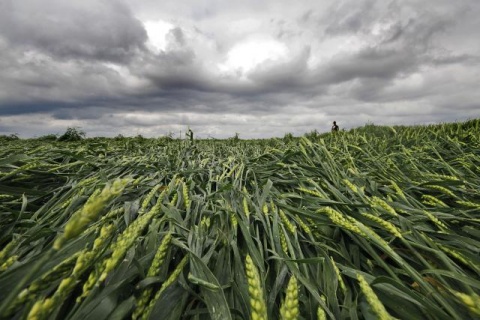 Непогода в окрестностях сербского Нови-Сада
