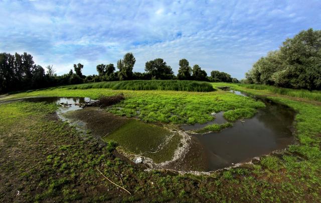 Утро в окрестностях Нови-Сада