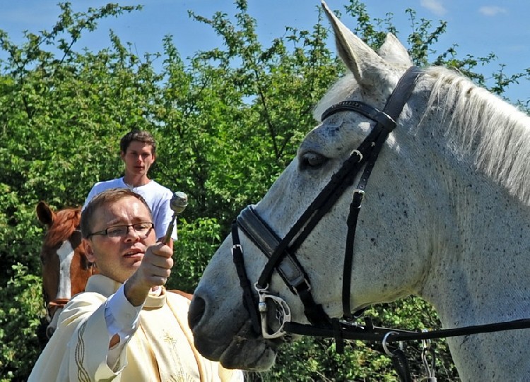 Благословение лошадей в хорватском селе Боринци