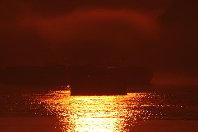 Ноябрьское утро 2015 года в окрестностях Нови-Сада