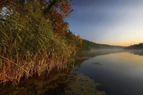 Ранняя осень в окрестностях Бачки-Моноштора