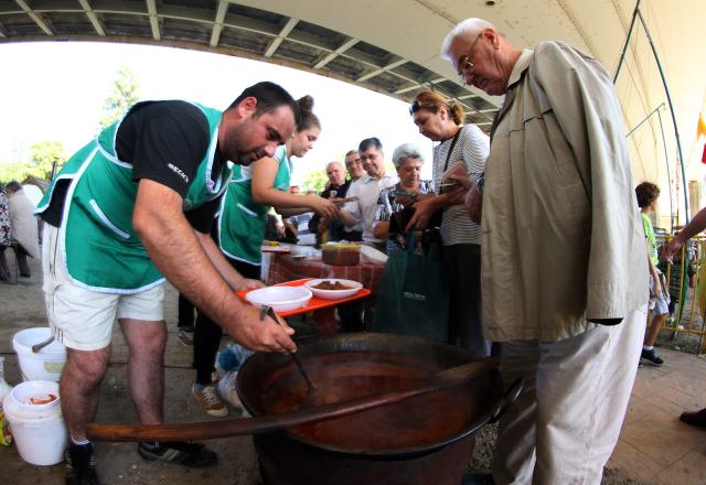 Фестиваль "Штранд-Фест" в Нови-Саде