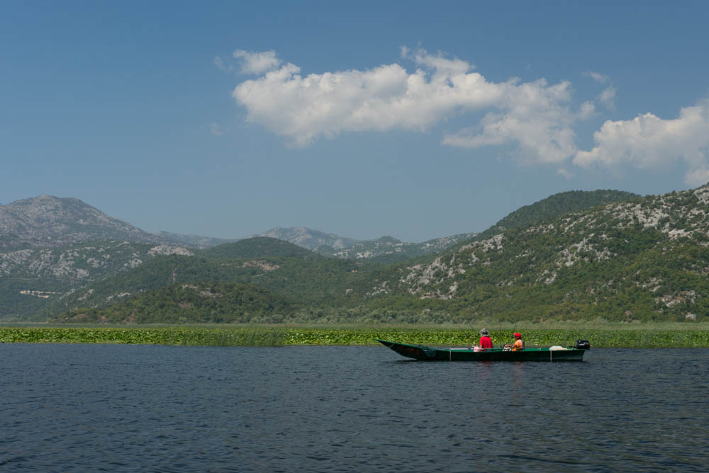 Скадарское озеро в Черногории
