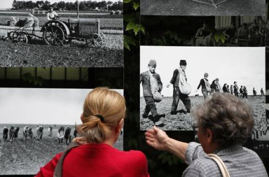 Ночь музеев в Нови-Саде