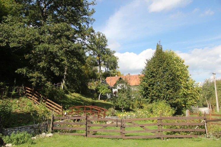 Сельский туризм в Златиборе