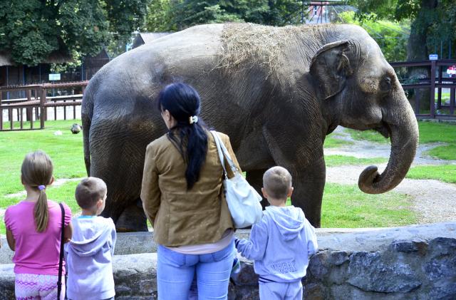 Летний день в белградском зоопарке