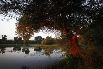 Рассвет в окрестностях Нови-Садa