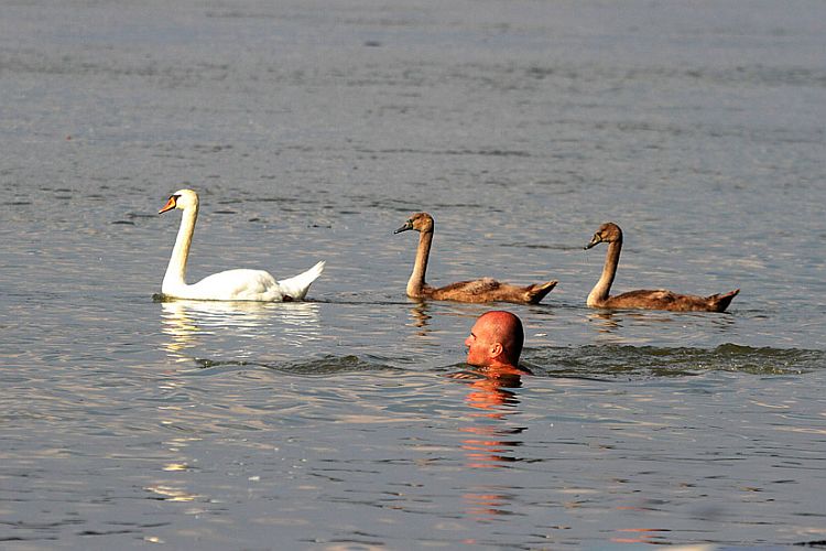 Праздник на Дунае летом 2016 г. 