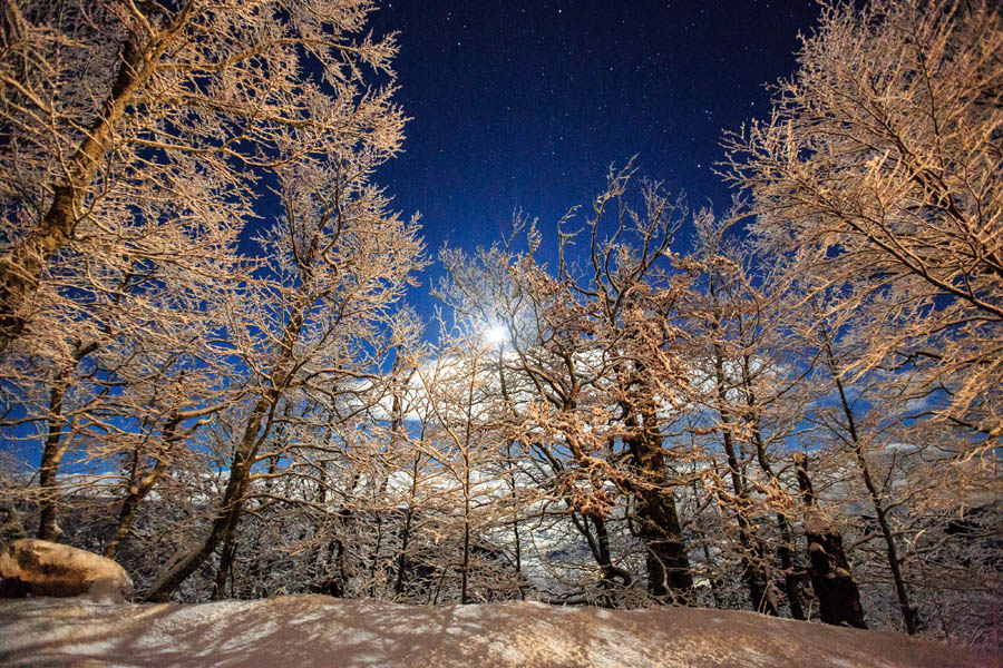 Снежная идиллия в горах Биоково