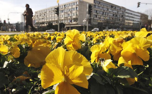 Солнечный день в сербском Нови-Саде