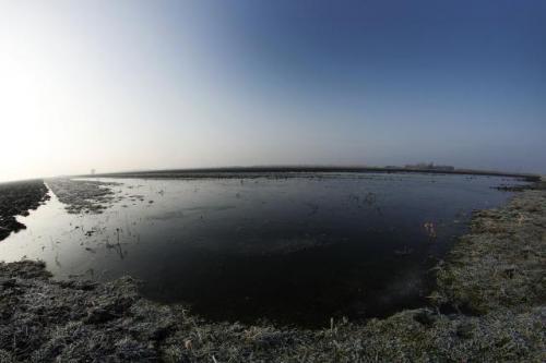 Поля в окрестностях Сомбора