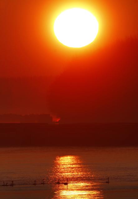 Дунай туманным утром