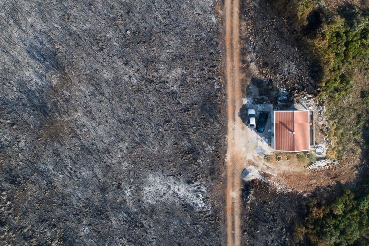 Окрестности поселка Бигова на полуострове Луштица после пожара