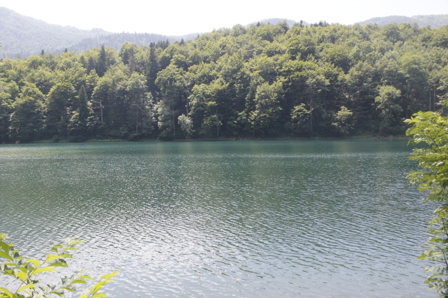 Национальный парк "Биоградска гора" в Черногории