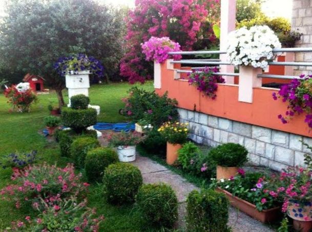 Лучший сад в Подгорице в 2016 году