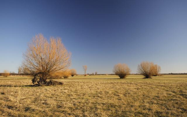 Живописные пейзажи окрестностей сербской Сенты