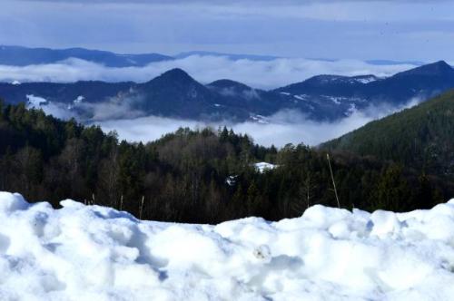 Утро на сербской горе Мокра-Гора