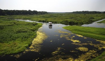 Резерват "Обедска-бара" недалеко от Белграда