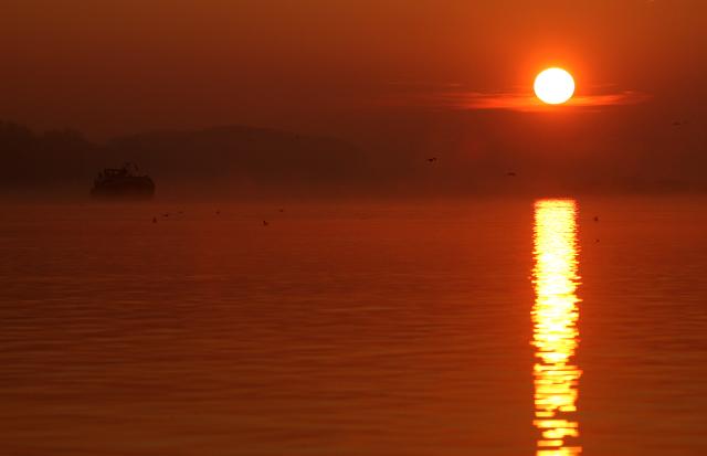 Ноябрьское утро 2015 года в окрестностях Нови-Сада