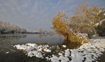 Дунайский рит под снегом