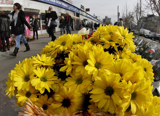 Белград в преддверии 8 марта