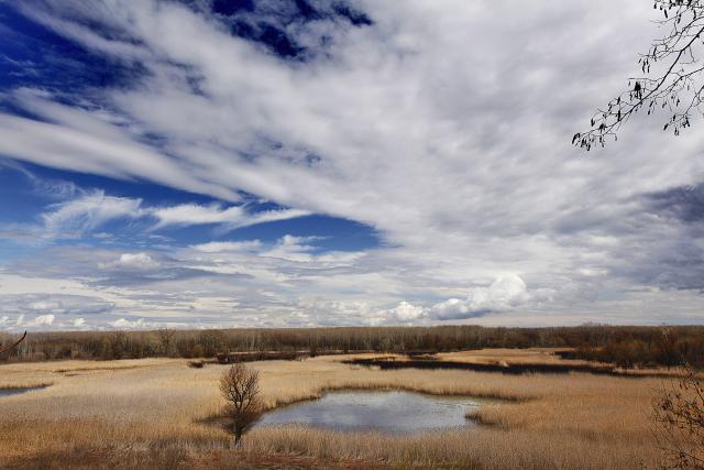 Красивые пейзажи сербского национального парка "Фрушка-Гора"