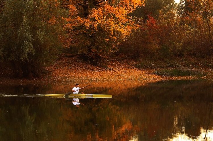 Сумерки на Дунае