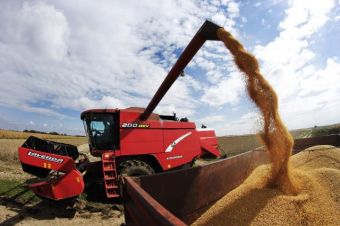 Уборка сои в окрестностях сербского Сомбора