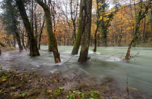 Река Речина в Хорватии