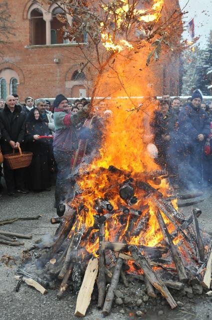 Празднование Рождественского сочельника в Сербии