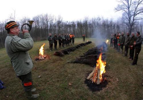Охота на кабанов в Сербии