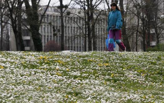 Парк в Нови-Саде