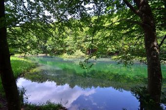 Река Грза в Сербии