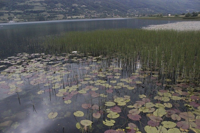 Плавское озеро в Черногории