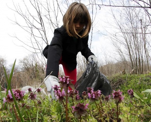 Уборка в сербском национальном парке "Фрушка-Гора"