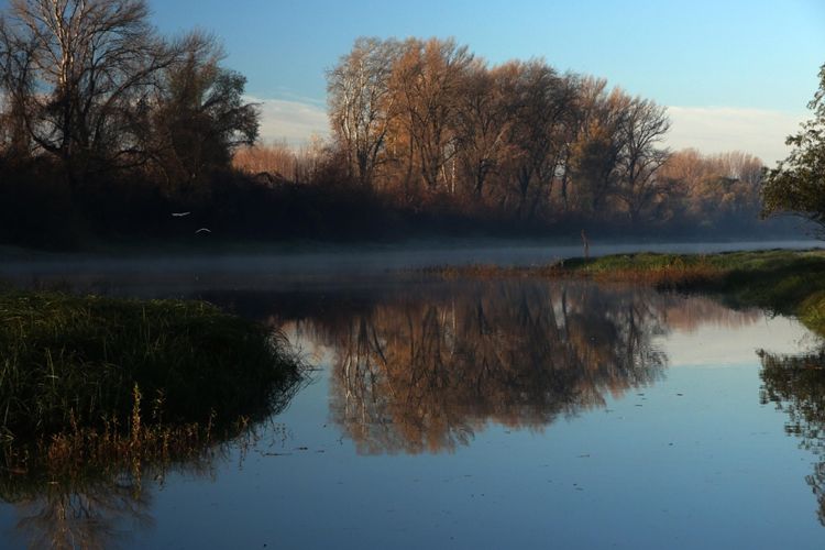 Утро на Дунае в ноябре 2016 года