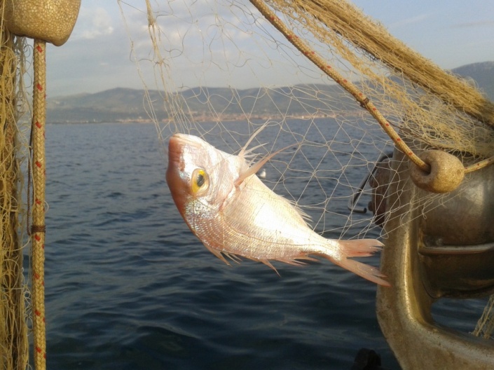 Рыбалка в Каштеланском заливе