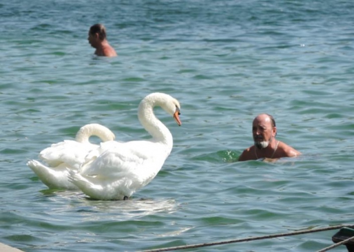 Бабье лето в хорватском Скрадине