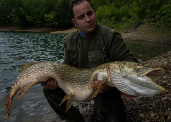 Ловля щуки на Локварском озере в Хорватии