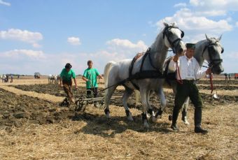 Чемпионат Хорватии по вспашке земли