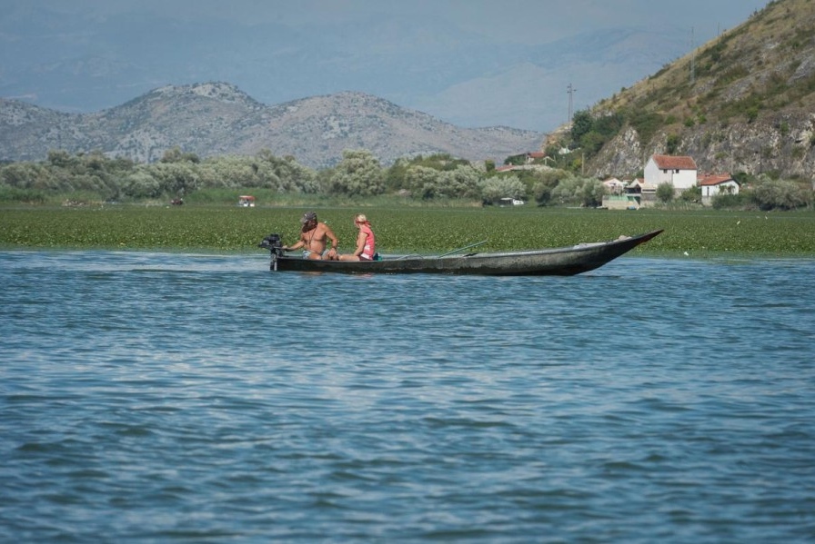Скадарское озеро в августе 2016 года